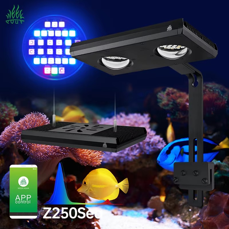 Aqua Marine Tank - Week AQUA Z250/Z400 Sea LED Reef
