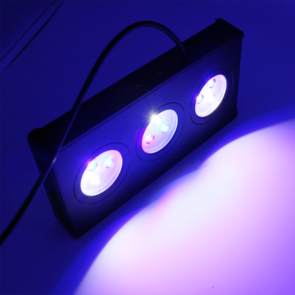 Aqua Marine Tank - SPECTRA Aqua knight M029 Marine aquarium