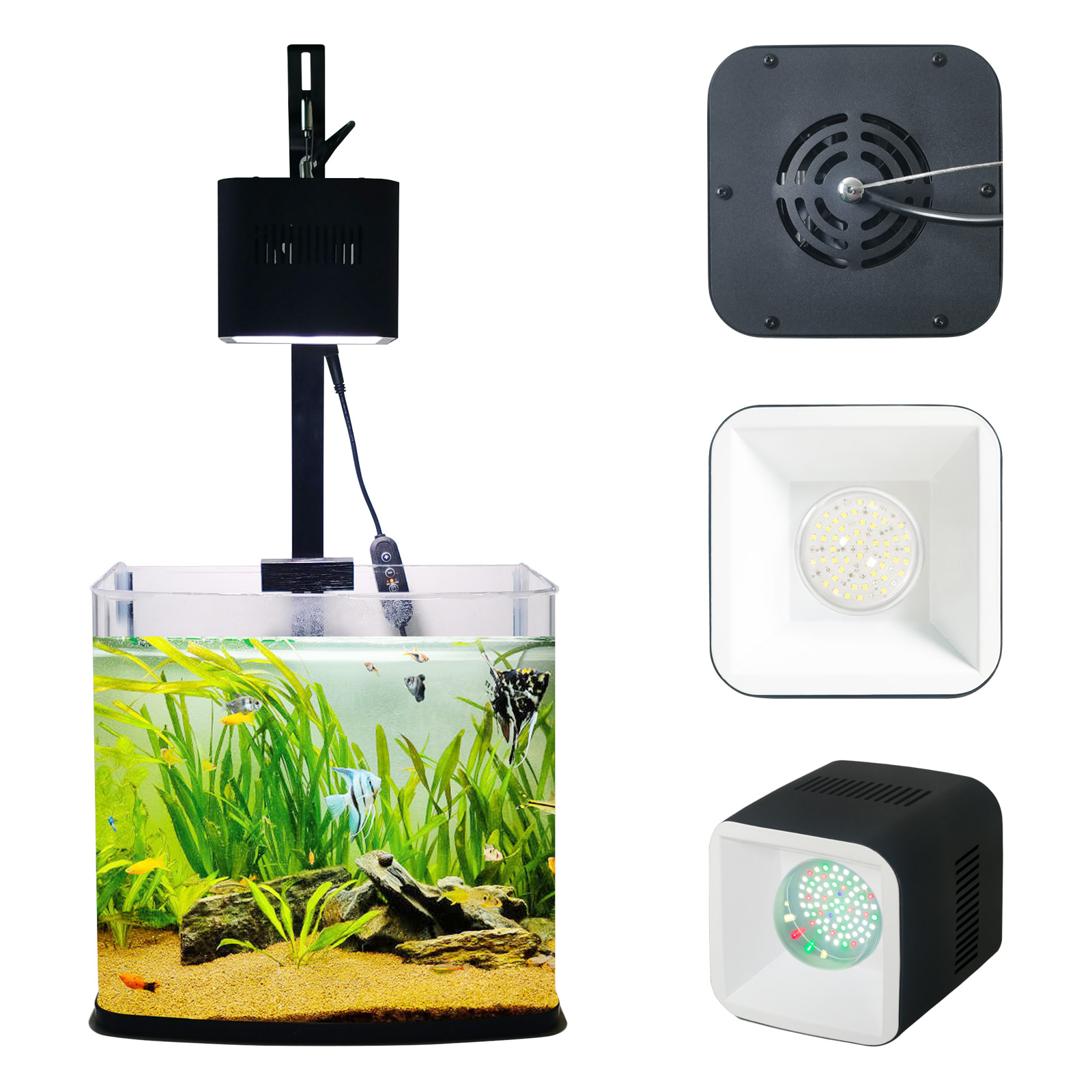 8H 10H 12H Timer Panel Reef Ma - Aquarium Blue Marine Reef 评论和价格