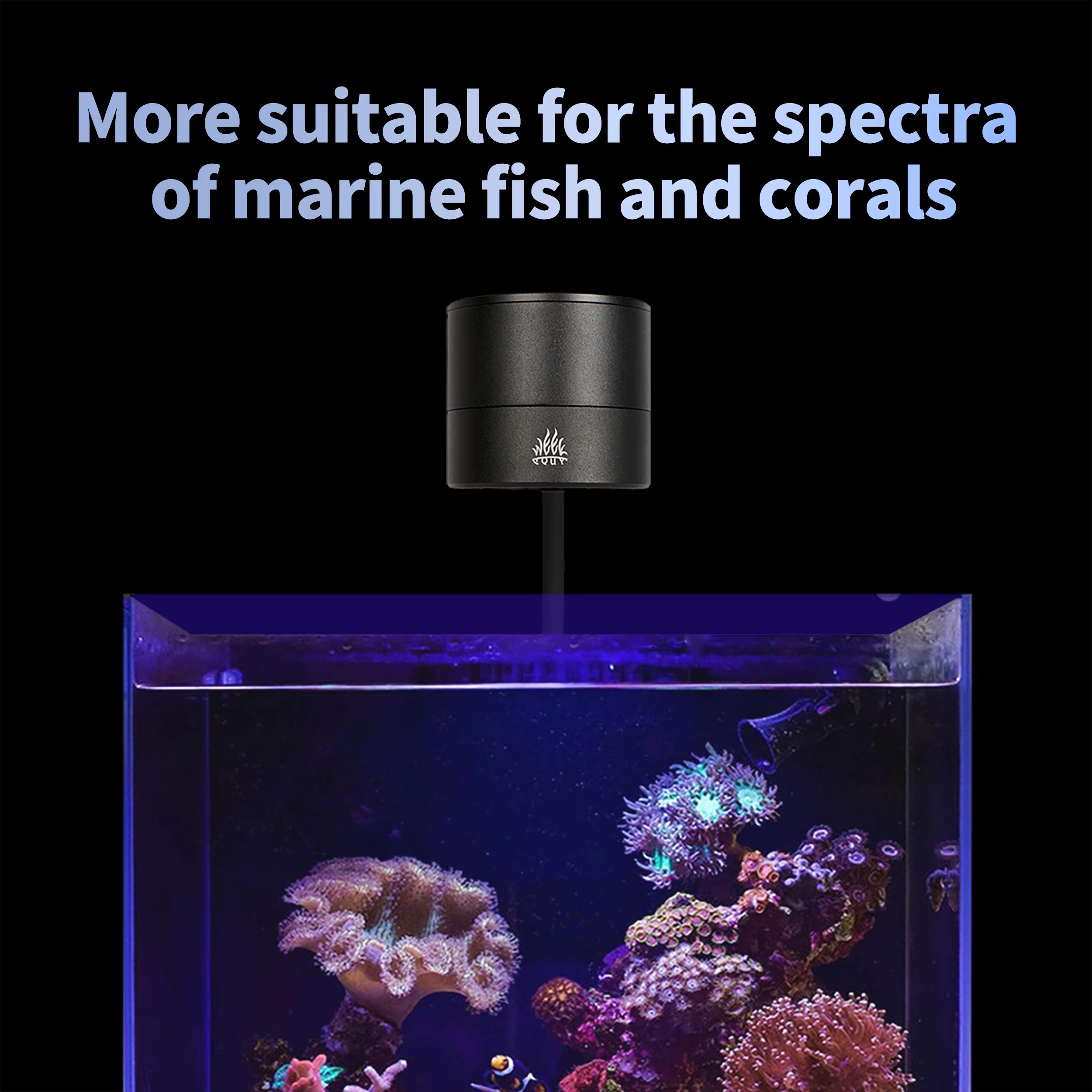 WEEK AQUA Aquarium Light Manuf - Aqua Marine Tank 评论和价格