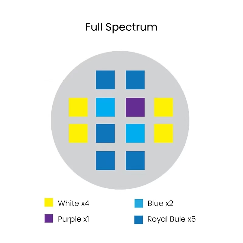 Spectra Aqua Knight V2 36W Ful - Aqua Marine Tank 评论和价格