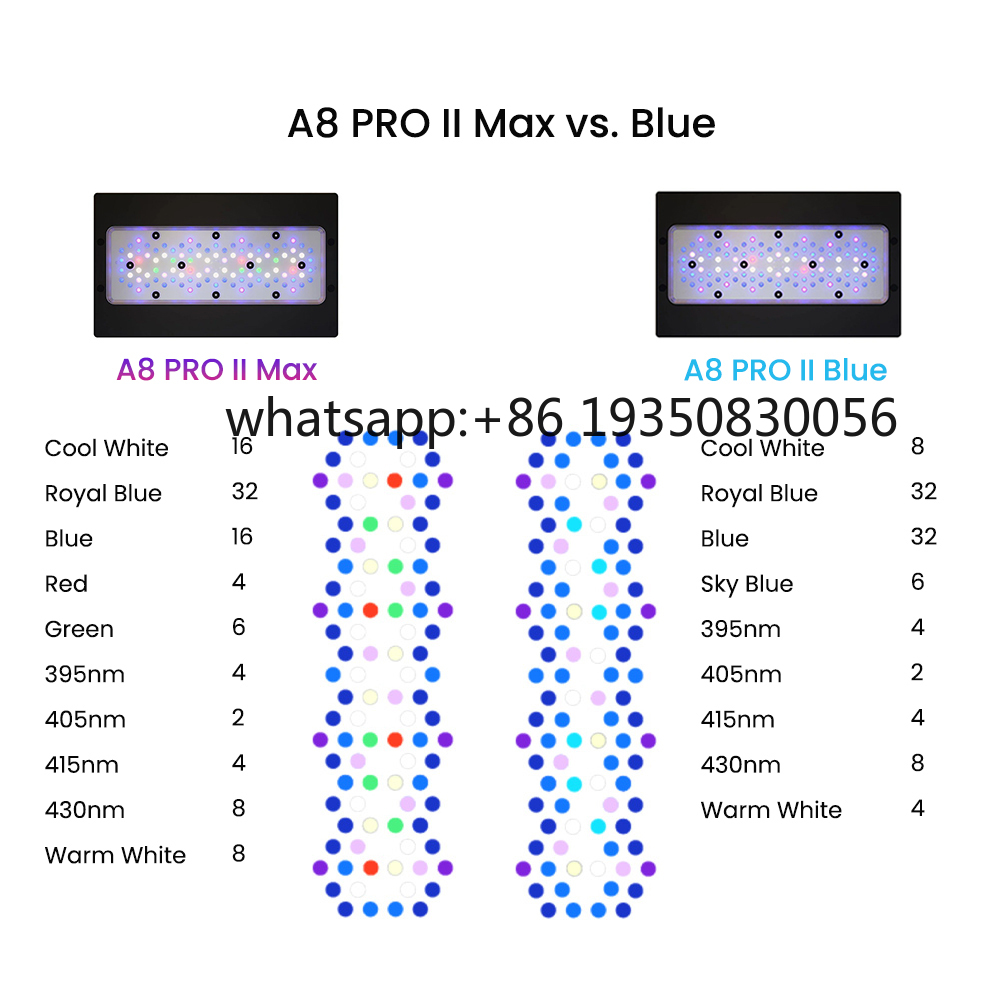 2026-A8 PRO II Max and Blue 24 - Marine Aquarium & Regional Centre Reviews 评论和价格