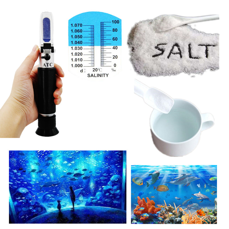 Salinity Refractometer 0-10% 1 - Marine Aquarium Refractometer 评论和价格