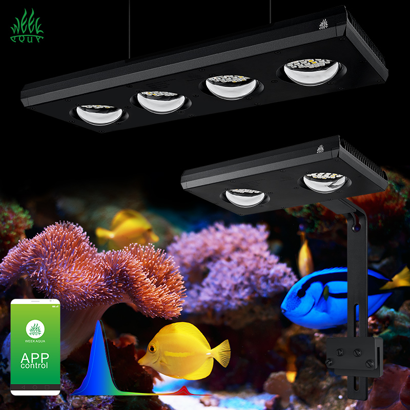 Week Aqua Z250Sea Z400Sea LED  - Aqua Marine Tank 评论和价格