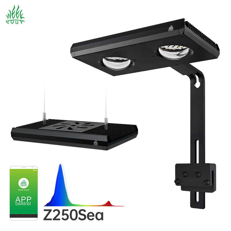 Week Aqua Z250Sea Z400Sea LED  - Aqua Marine Tank 评论和价格