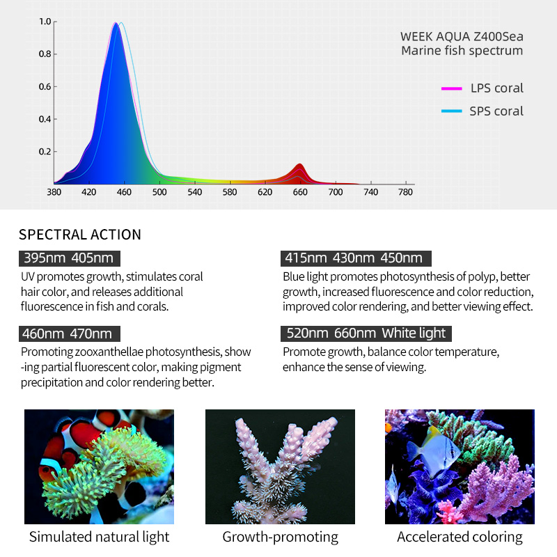 Week Aqua Z250Sea Z400Sea LED  - Aqua Marine Tank 评论和价格