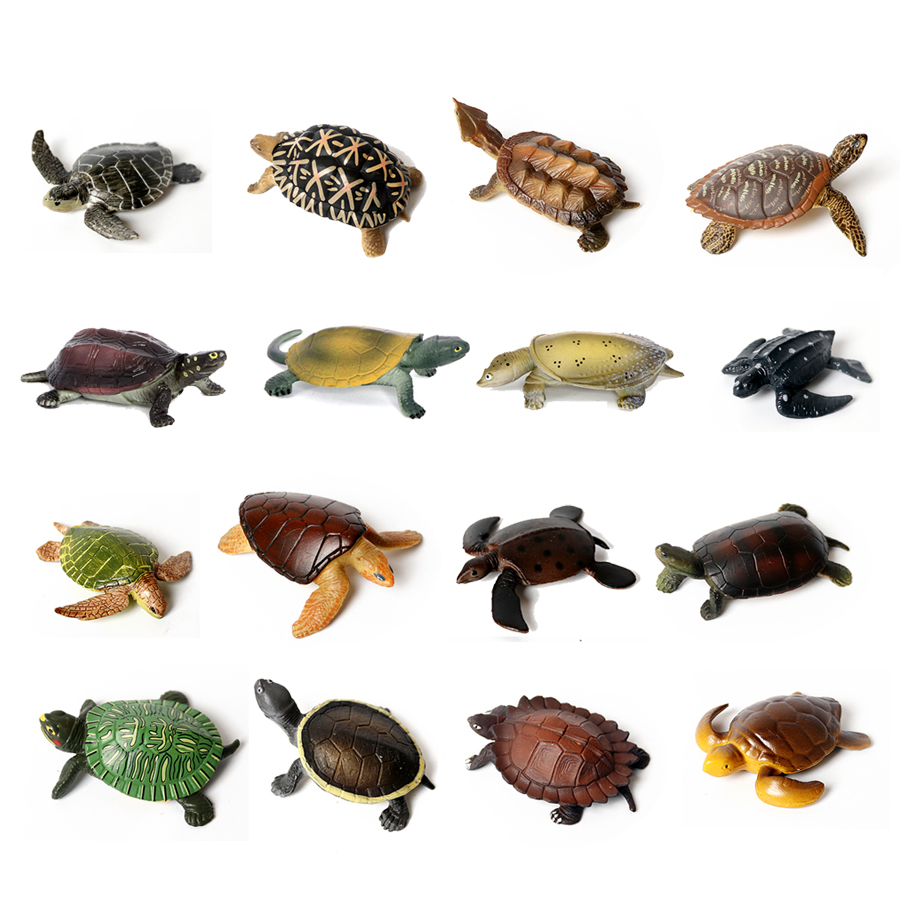 Realistic Miniatures Marine Li - Marine Aquarium & Regional Centre Reviews 评论和价格