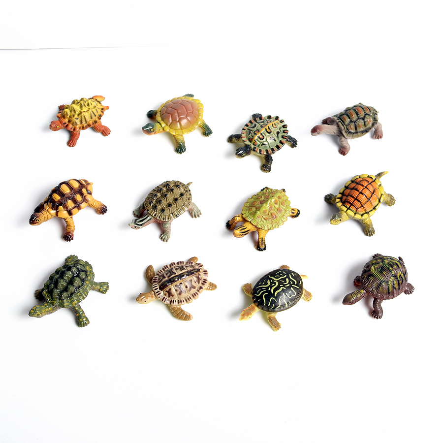 Realistic Miniatures Marine Li - Marine Aquarium & Regional Centre Reviews 评论和价格