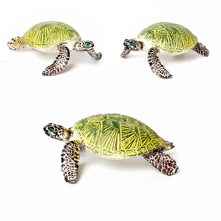 Realistic Miniatures Marine Li - Marine Aquarium & Regional Centre Reviews 评论和价格
